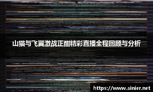 山猫与飞翼激战正酣精彩直播全程回顾与分析